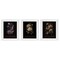 Stupell Industries Antique Botanical Herb Bushels 3pc Framed Print Under Glass Set, design by Christopher Giampietro